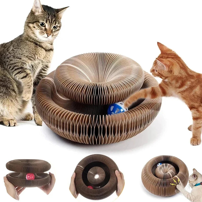 The Perfect Toy for Your Cat—With a Twist!